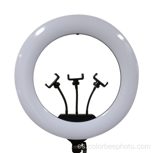 Lámpara de luz anular LED bicolor regulable de 20 pulgadas